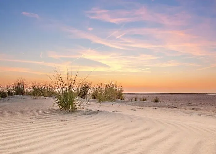 Dom wakacyjny Vakantie-ouddorp Ouddorp